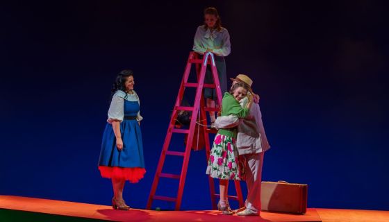 Мюзикл «Карнавальная ночь»