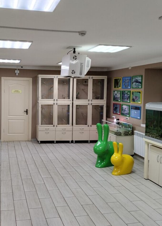 Живой уголок в Музее истории города