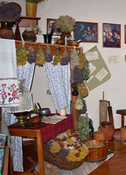 Наследие Ватеркамфов. Программа