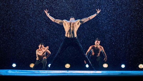 Шоу под дождём VII. И где, …, счастье?