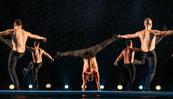 Шоу под дождём VII. И где, …, счастье?