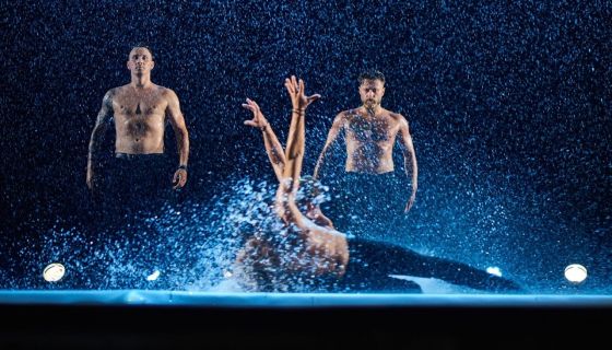 Шоу под дождём VII. И где, …, счастье?