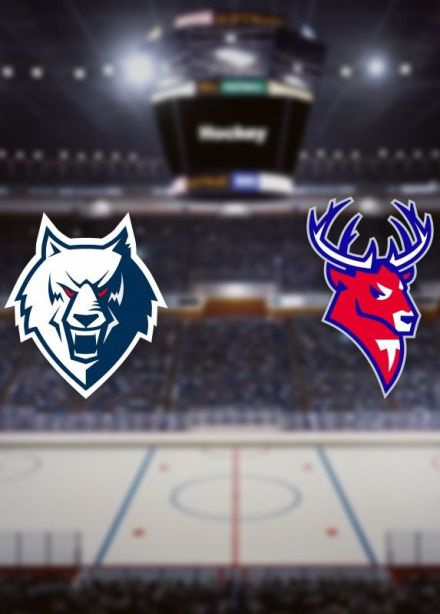 Хоккей. ХК «Нефтехимик» — ХК «Торпедо», Нижнекамск