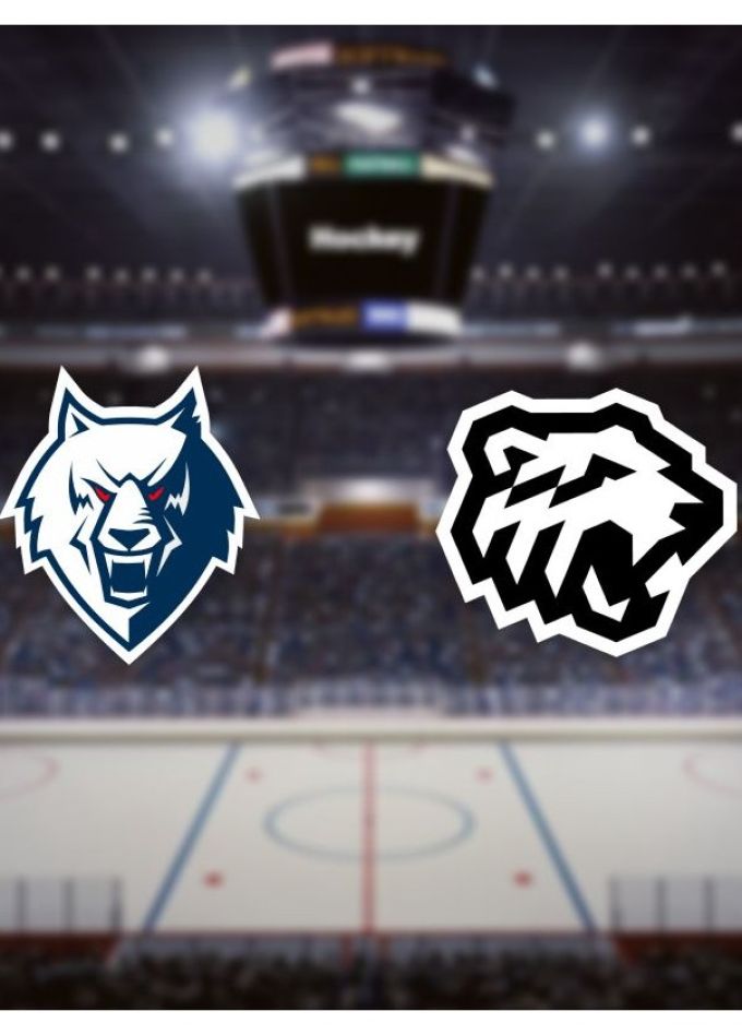 Хоккей. ХК «Нефтехимик» — ХК «Трактор», Нижнекамск