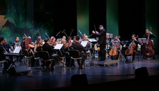 CGM Orchestra. «Музыкальные миры Гарри Поттера»